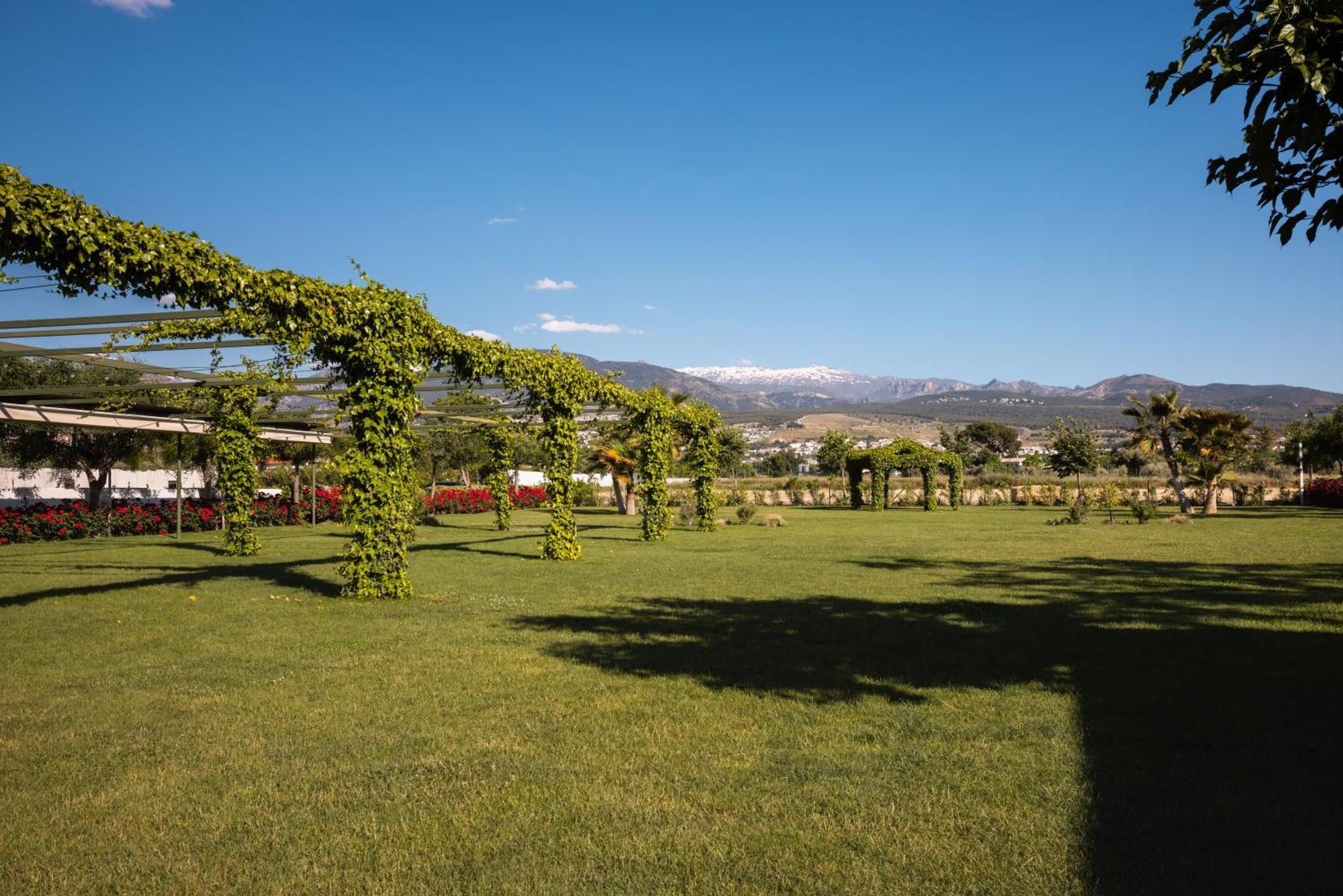 Cortijo El Maizal Vila Granada Exterior foto